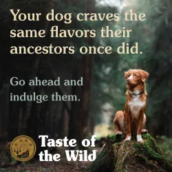 Купити Taste of the Wild Southwest Canyon для собак із диким кабаном | Ваш улюбленець заслуговує на найкраще