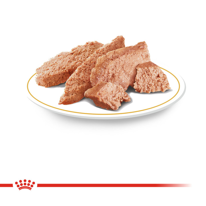 Royal Canin Yorkshire Adult 0.085 кг | Консервований корм для собак Йоркширський тер'єр