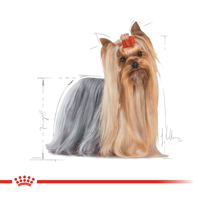 Royal Canin Yorkshire Adult 0.085 кг | Консервований корм для собак Йоркширський тер'єр