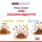 Royal Canin Sensory Multipack 3x4x0.085 кг | Вологий корм для вибагливих котів Мультипак