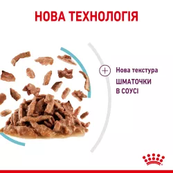 Royal Canin Sensory Multipack 3x4x0.085 кг | Вологий корм для вибагливих котів Мультипак