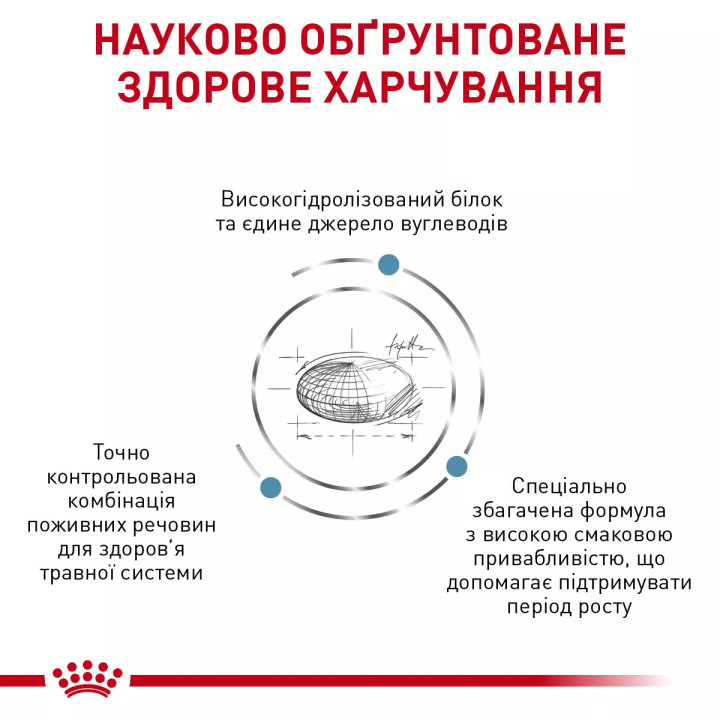 Royal Canin Hypoallergenic: корм для собак з небажаною реакцією на їжу з гідролізованими білками та захисною функцією шкіри 2 кг