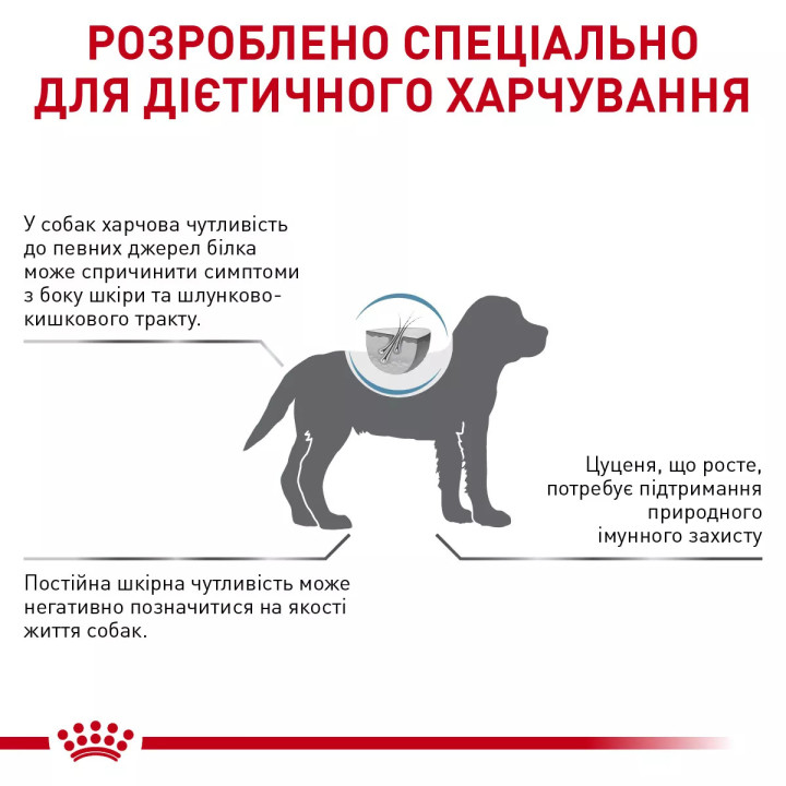 Royal Canin Hypoallergenic: корм для собак з небажаною реакцією на їжу з гідролізованими білками та захисною функцією шкіри 2 кг