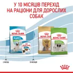 Royal Canin XSMALL PUPPY 1,5 кг, корм для цуценят мініатюрних порід, забезпечує здоров'я та енергію