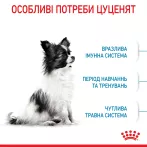 Royal Canin XSMALL PUPPY 1,5 кг, корм для цуценят мініатюрних порід, забезпечує здоров'я та енергію