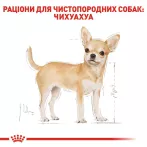 Купити Royal Canin Chihuahua Adult – Оптимальний Корм для Чихуахуа