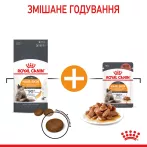 Купити 2 кг Royal Canin Hair and Skin Care для котів | Здоров'я шерсті та шкіри