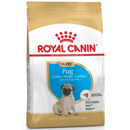 Royal Canin Pug Puppy 1.5 кг - Оптимальний Сухий Корм для Цуценят Мопса