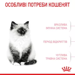 Купити 2 кг сухий корм Royal Canin Kitten для кошенят - Найкраща ціна та якість в Україні