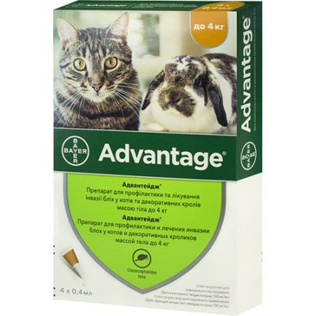 Краплі від бліх Bayer Advantage 40 для котів і кошенят менше 4 кг