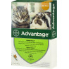 Краплі від бліх Bayer Advantage 40 для котів і кошенят менше 4 кг