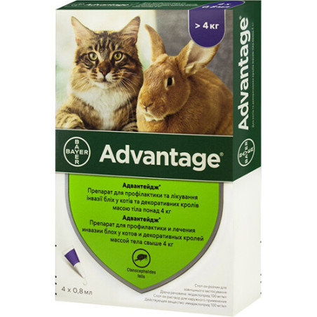 Краплі від бліх і кліщів Bayer Advantage 80 для котів понад 4 кг