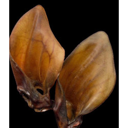 Ласощі SALUTIS Снек Вуха яловичі, для собак, 2 шт.