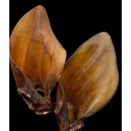 Ласощі SALUTIS Снек Вуха яловичі, для собак, 2 шт.