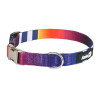 Нашийник AnimAll L-3, для собак, нейлон, 2.5×40-65 см