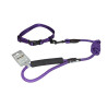 Комплект нашийник з повідцем AnimAll для собак, S, 0.8×120 см/37-46 см, темно-фіолетовий