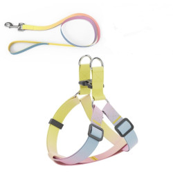 AnimAll Набір (шлея + повідець), panton 2, 10/250-300/1800 мм