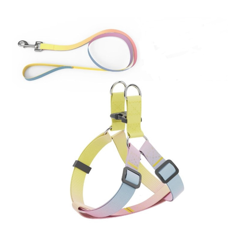 AnimAll Набір (шлея + повідець), panton 2, 10/250-300/1800 мм