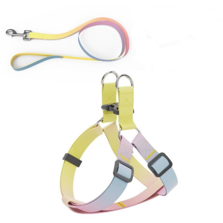 AnimAll Набір (шлея + повідець), panton 2, 10/250-300/1800 мм