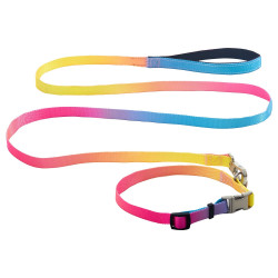 AnimAll Набір (нашийник + повідець), panton 1, 15/300-400/1800 мм