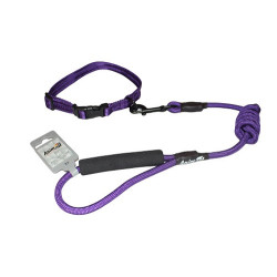 Комплект нашийник з повідцем AnimAll для собак, M, 1×120 см/27-42 см, темно-фіолетовий