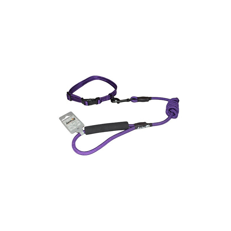 Комплект нашийник з повідцем AnimAll для собак, M, 1×120 см/27-42 см, темно-фіолетовий