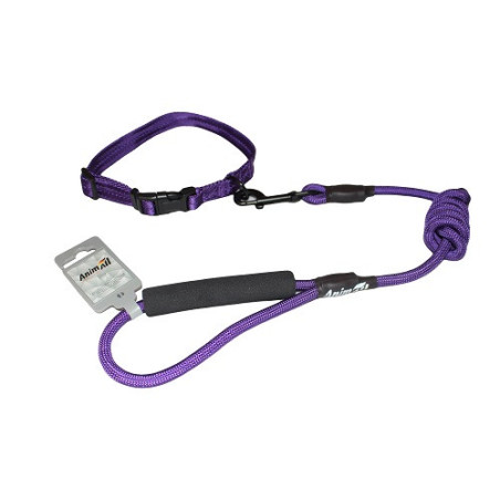Комплект нашийник з повідцем AnimAll для собак, M, 1×120 см/27-42 см, темно-фіолетовий