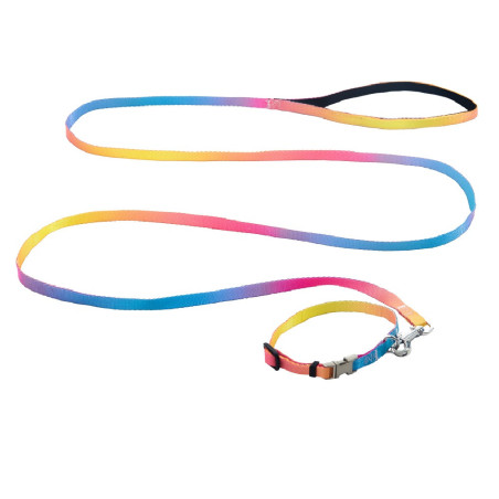 AnimAll Набір (нашийник + повідець), panton 1, 10/250-300/1800 мм