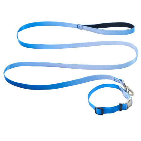 AnimAll Набір (нашийник + повідець), panton 3, 20/330-500/1800 мм