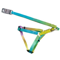 AnimAll Набір (шлея + повідець), panton 2, 25/420-520/1800 мм