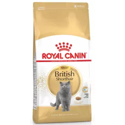 British Shorthair Adult 10 кг | Royal Canin | Сухий корм для дорослих котів британська короткошерста