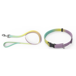 AnimAll Набір (нашийник + повідець), panton 3, 10/250-300/1800 мм