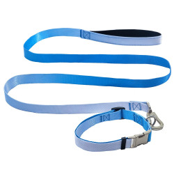 AnimAll Набір (нашийник + повідець), panton 3, 25/420-520/1800 мм