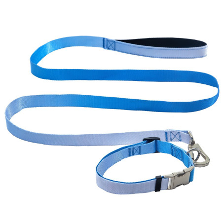 AnimAll Набір (нашийник + повідець), panton 3, 25/420-520/1800 мм