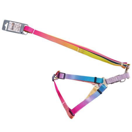 AnimAll Набір (шлея + повідець), panton 1, 25/420-520/1800 мм