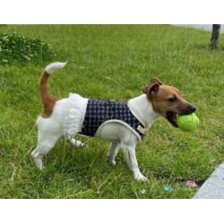 Набір Animall повідець та шлея для собак, сукня, 1×120 см