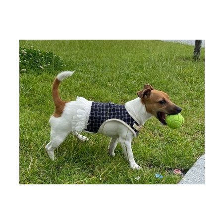 Набір Animall повідець та шлея для собак, сукня, 1×120 см