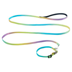 AnimAll Набір (нашийник + повідець), panton 2, 10/250-300/1800 мм