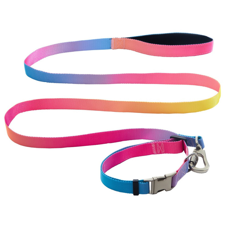 AnimAll Набір (нашийник + повідець), panton 1, 25/420-520/1800 мм