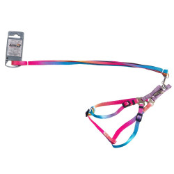 AnimAll Набір (шлея + повідець), panton 1, 10/250-300/1800 мм