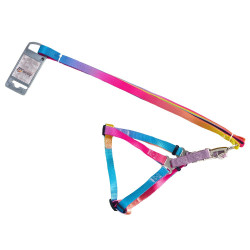 AnimAll Набір (шлея + повідець), panton 1, 20/330-500/1800 мм