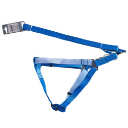 AnimAll Набір (шлея + повідець), panton 3, 25/420-520/1800 мм