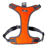 AnimAll шлея HL-8005-1 orange S