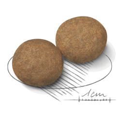 Купуйте Royal Canin Medium Adult для собак середніх порід в інтернет-магазині