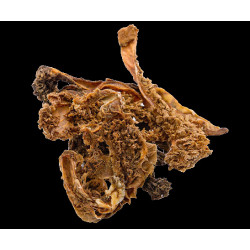 Ласощі SALUTIS Снек рубець яловичий, для собак, 100 г