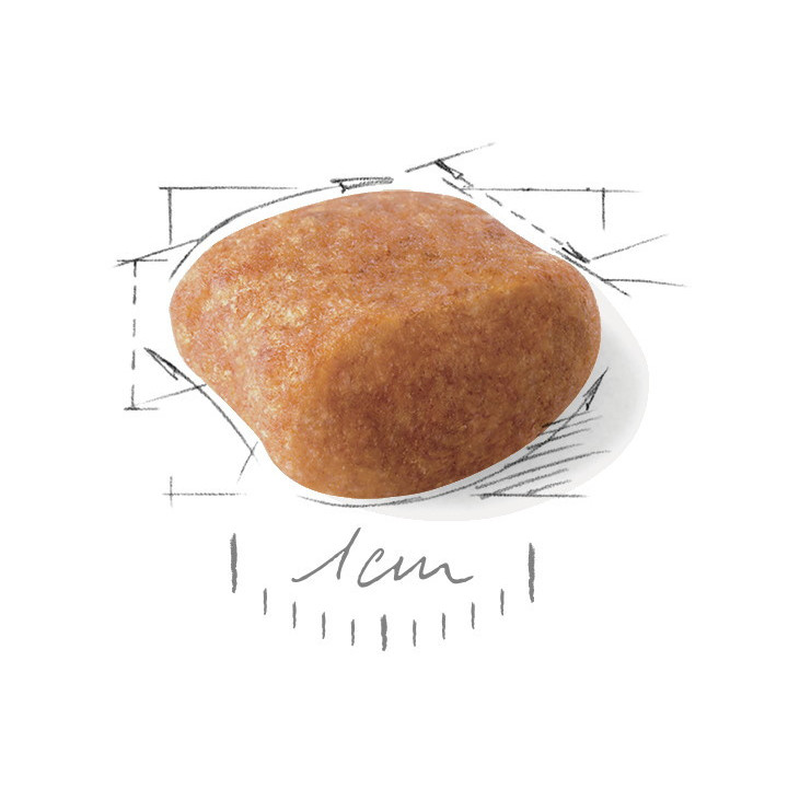 Royal Canin Poodle Adult 1.5 кг