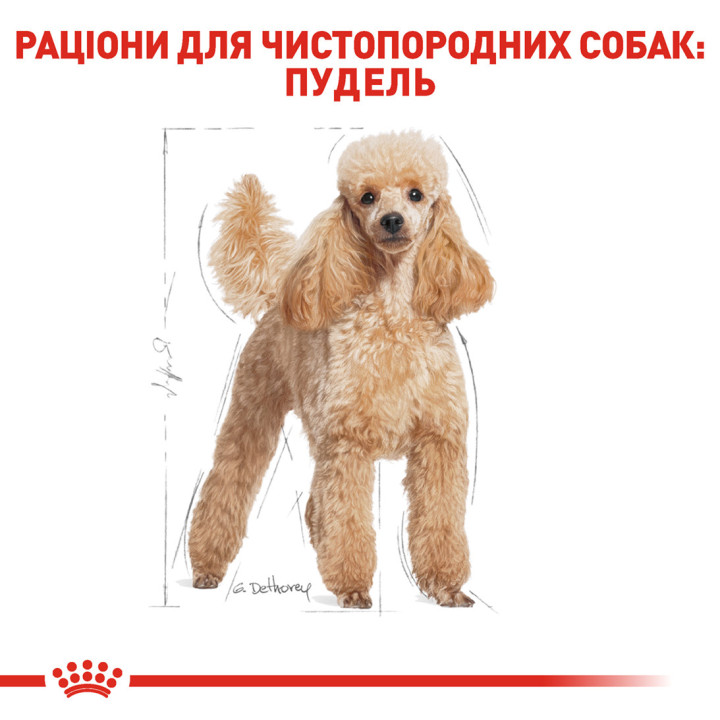 Royal Canin Poodle Adult 0.5 кг
