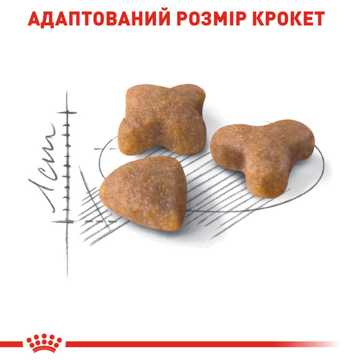Купуйте 2 кг Royal Canin SENSIBLE для котів із чутливим травленням - Ваш вибір номер один!