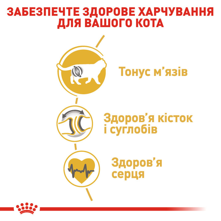 Купити 4 кг Корм для Британської Короткошерстої - Підтримка М'язів і Суглобів