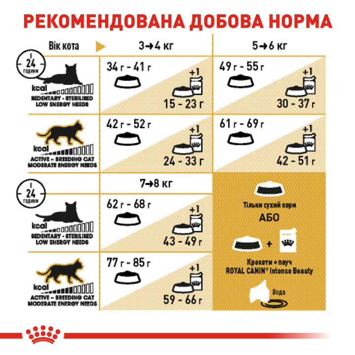 Купити 4 кг Корм для Британської Короткошерстої - Підтримка М'язів і Суглобів